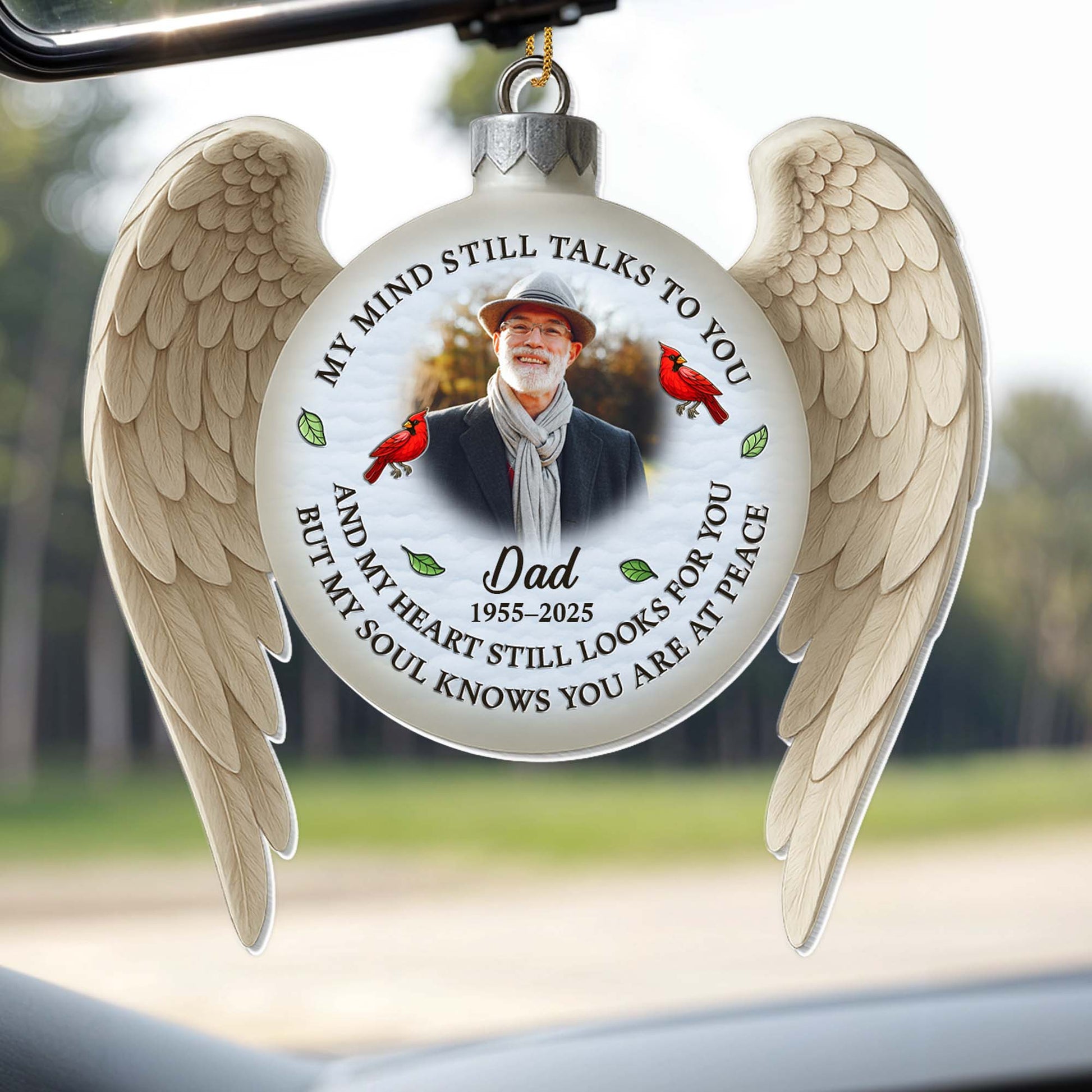 My Mind Still Talks To You, Wings And Red Cardinal Birds