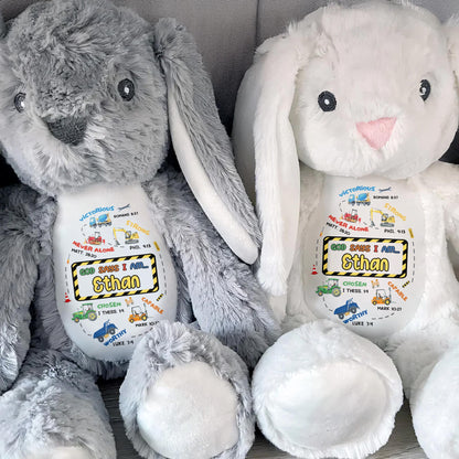 Victorious, Strong, Never Alone, Personalized Stuffed Bunny With Biblical Inscriptions