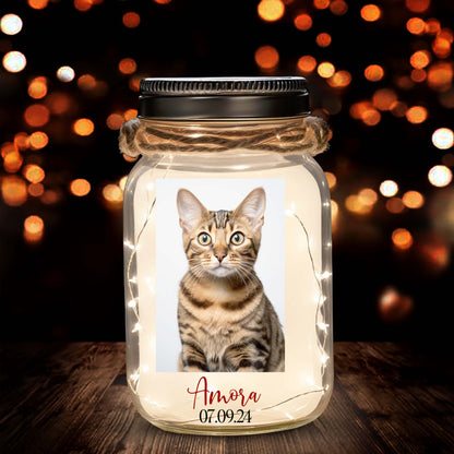 Empreintes de pattes sur nos cœurs – Lampe personnalisée pour pot Mason – PET011_JARL