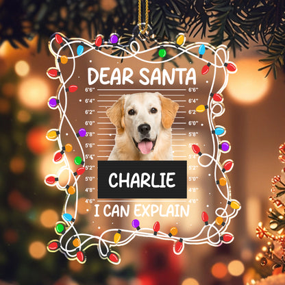 Dear Santa I Can Explain, Gift For Dog Lovers