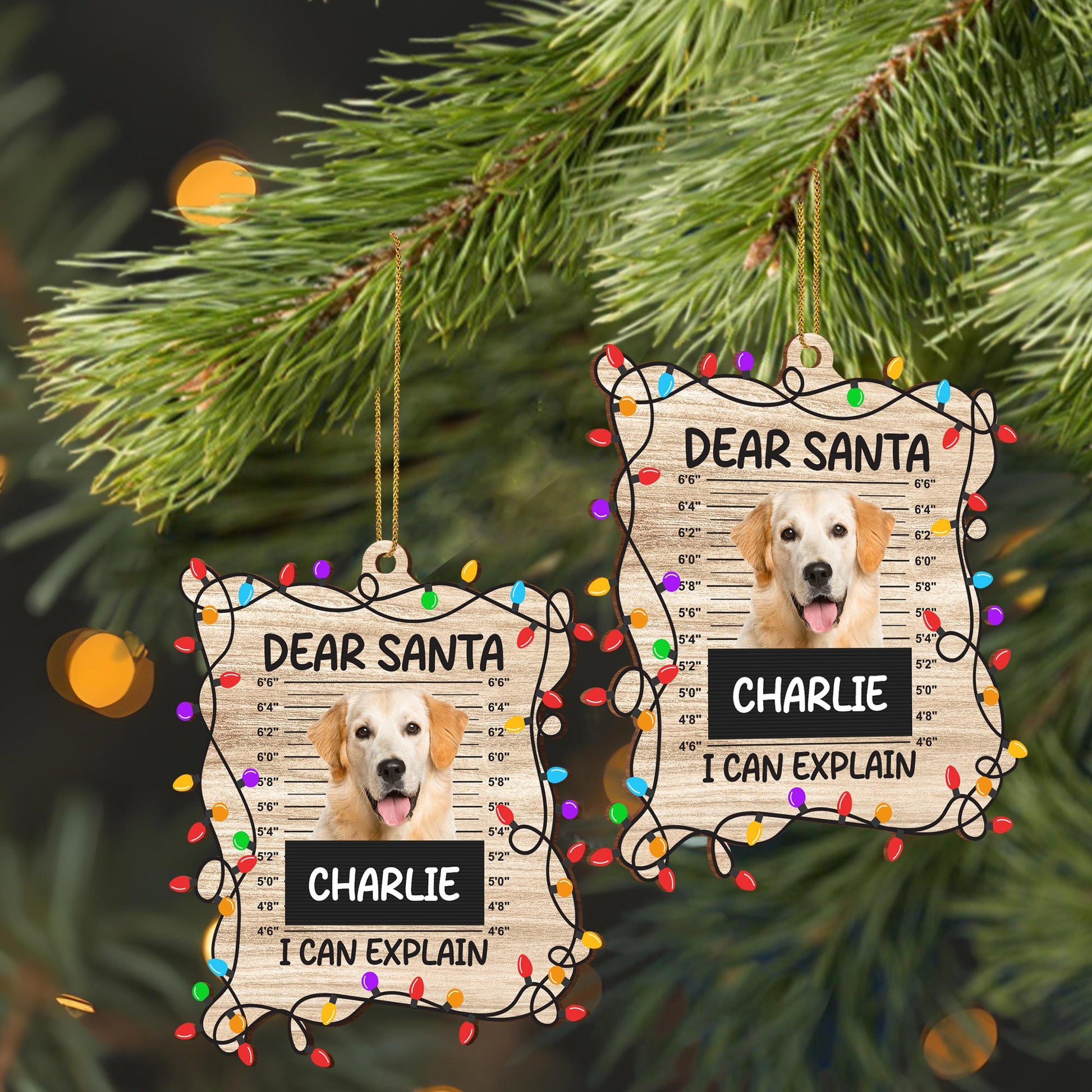 Dear Santa I Can Explain Dog Christmas Ornament