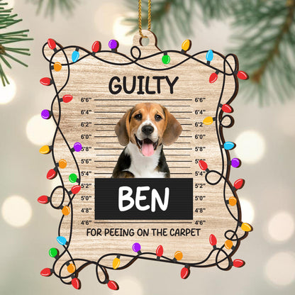 Guilty For Peeing On The Carpet Ornament With Dog