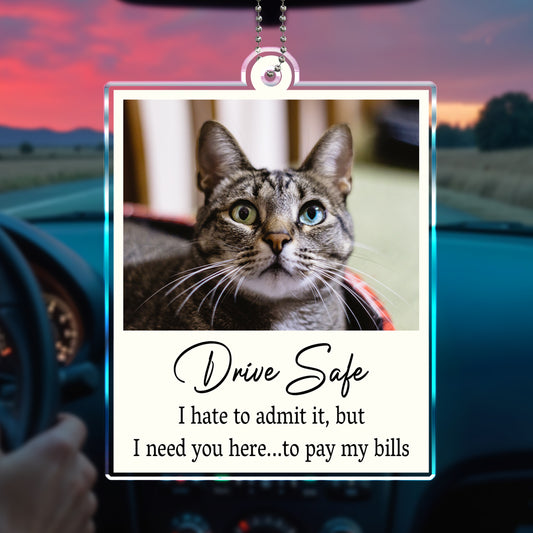 Drive Safe I Need You Here Quote With Cat Image
