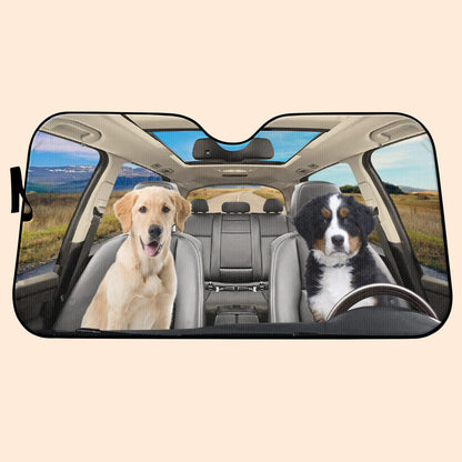 Drive With Your Best Friends In Style, Dogs