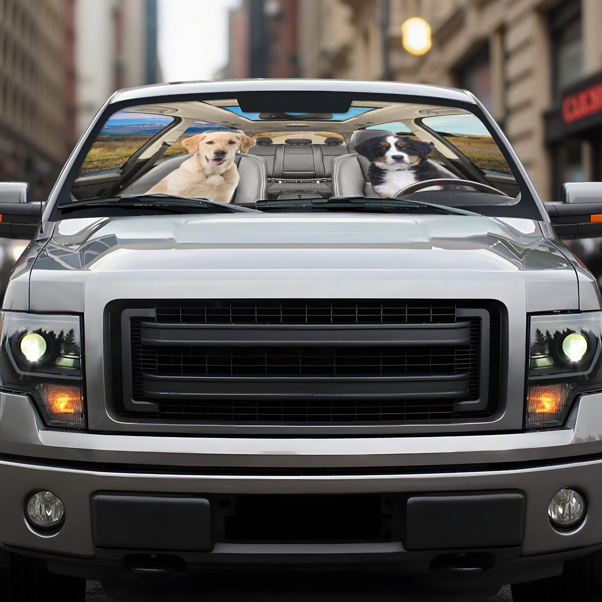Drive With Your Best Friends In Style, Dogs