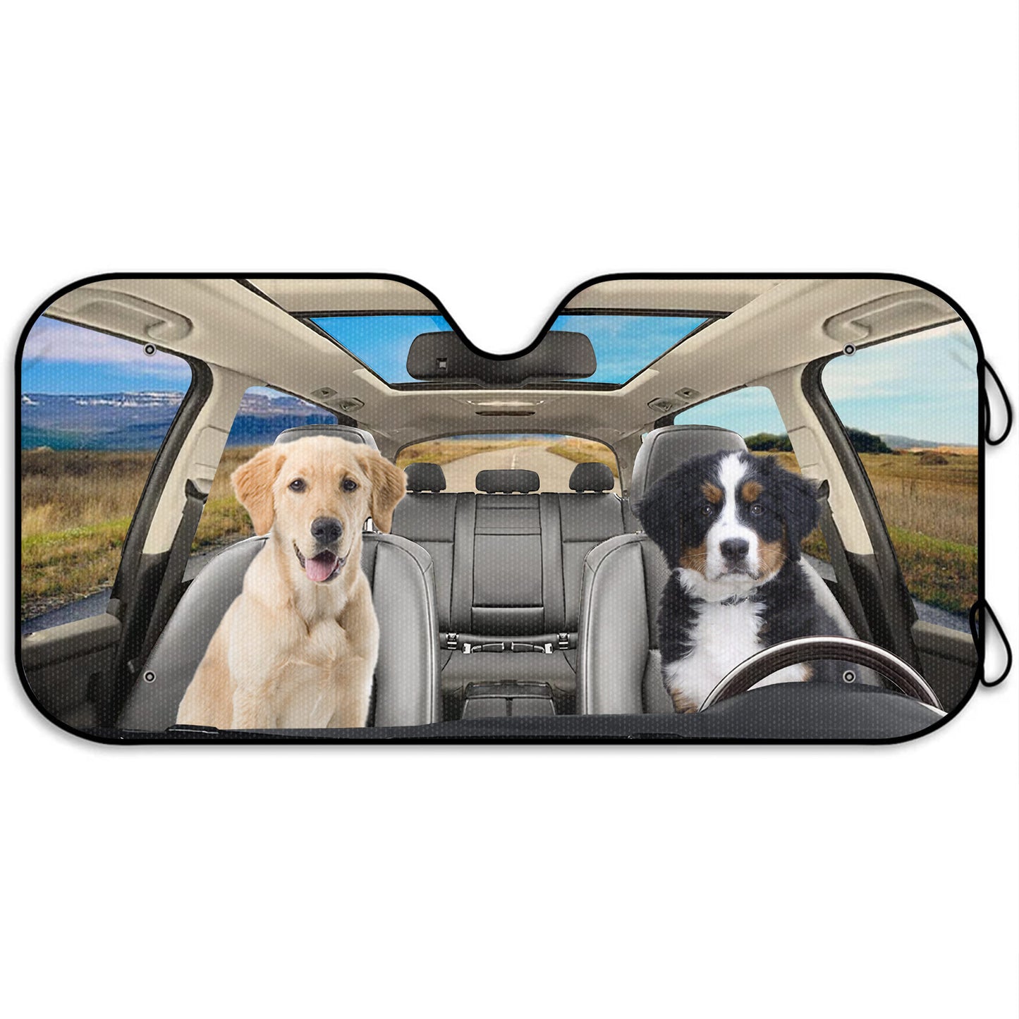 Drive With Your Best Friends In Style, Dogs