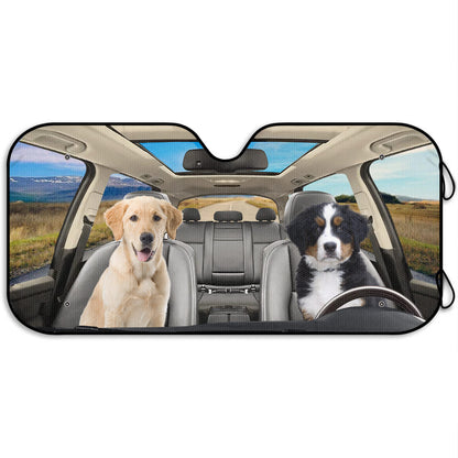 Drive With Your Best Friends In Style, Dogs