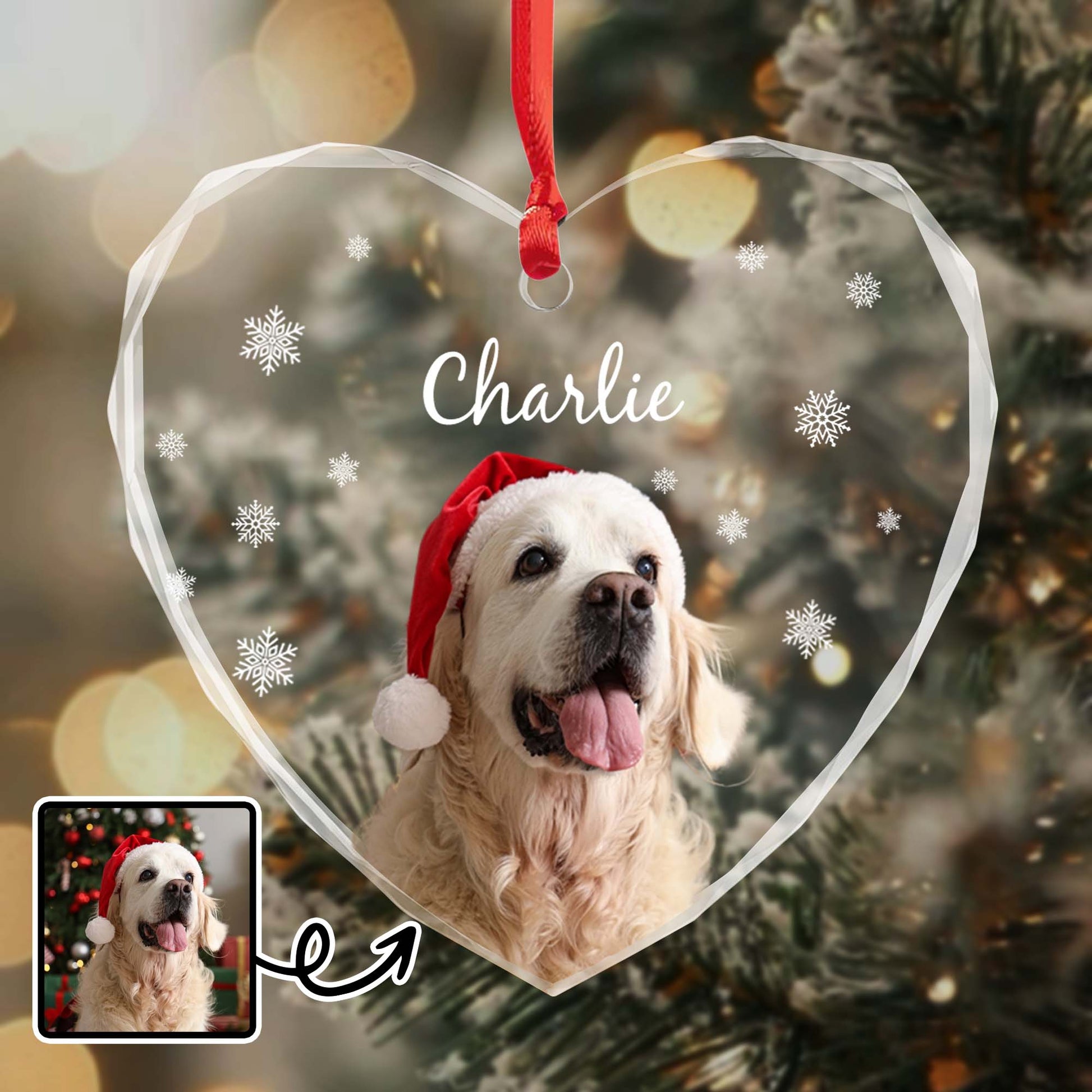 Capture Special Moments With Your Beloved Pet