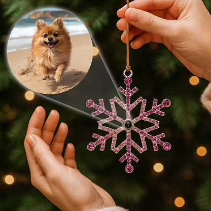 Cherish Every Moment With Your Beloved Pet