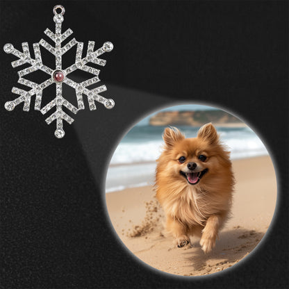 Cherish Every Moment With Your Beloved Pet