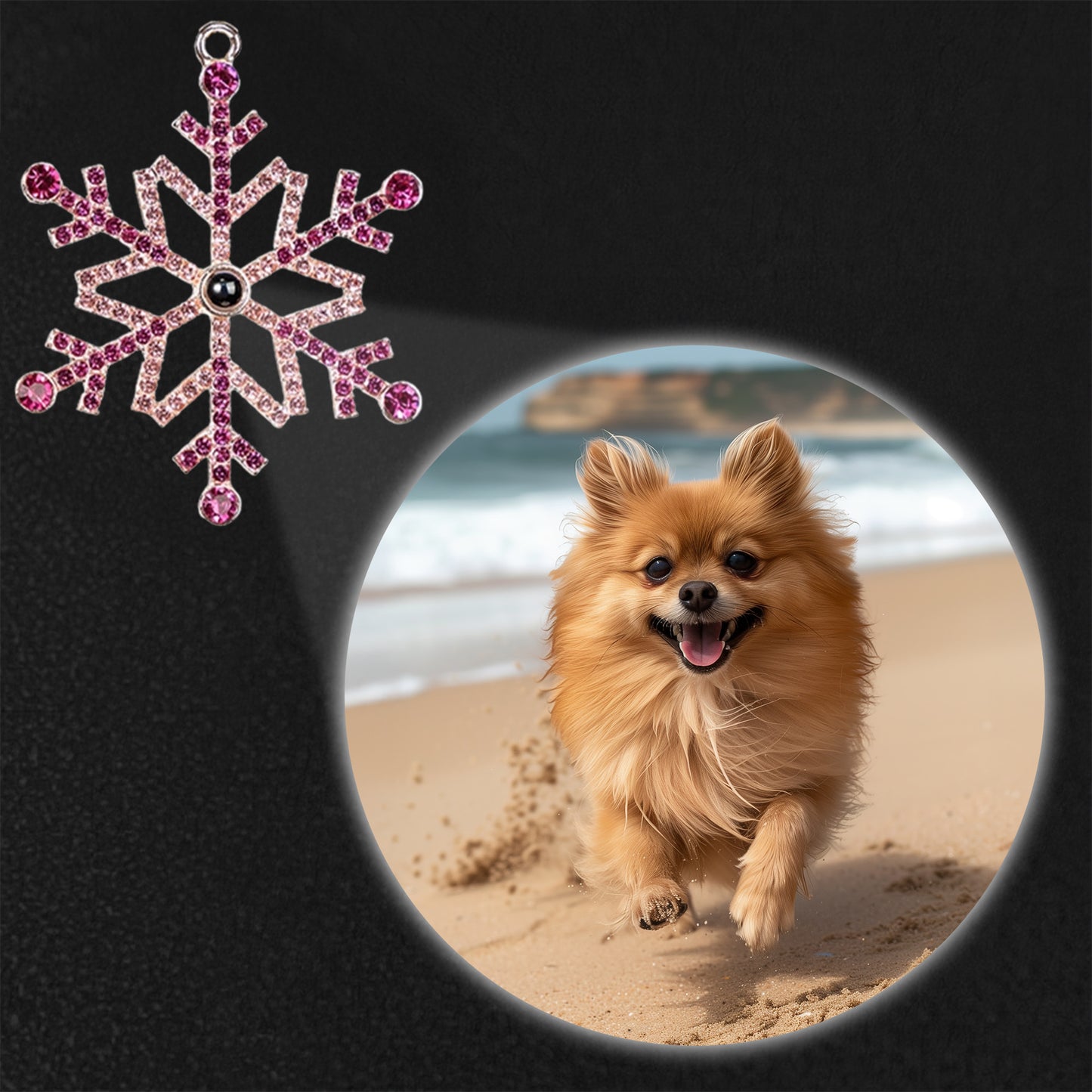 Cherish Every Moment With Your Beloved Pet