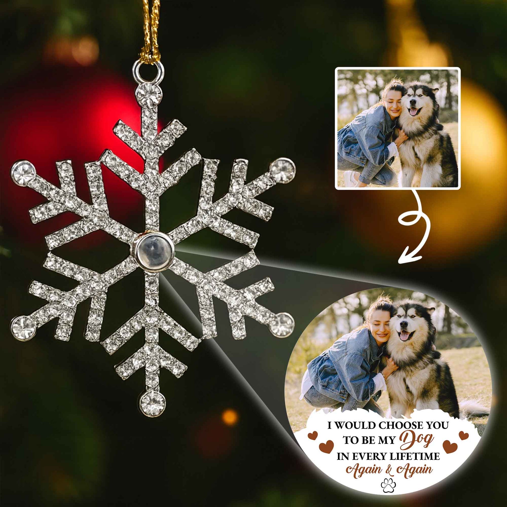 I Would Choose You To Be My Dog In Every Lifetime