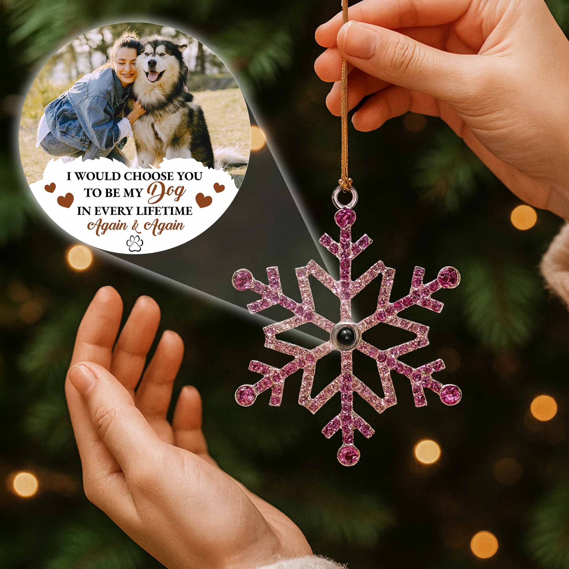 I Would Choose You To Be My Dog In Every Lifetime