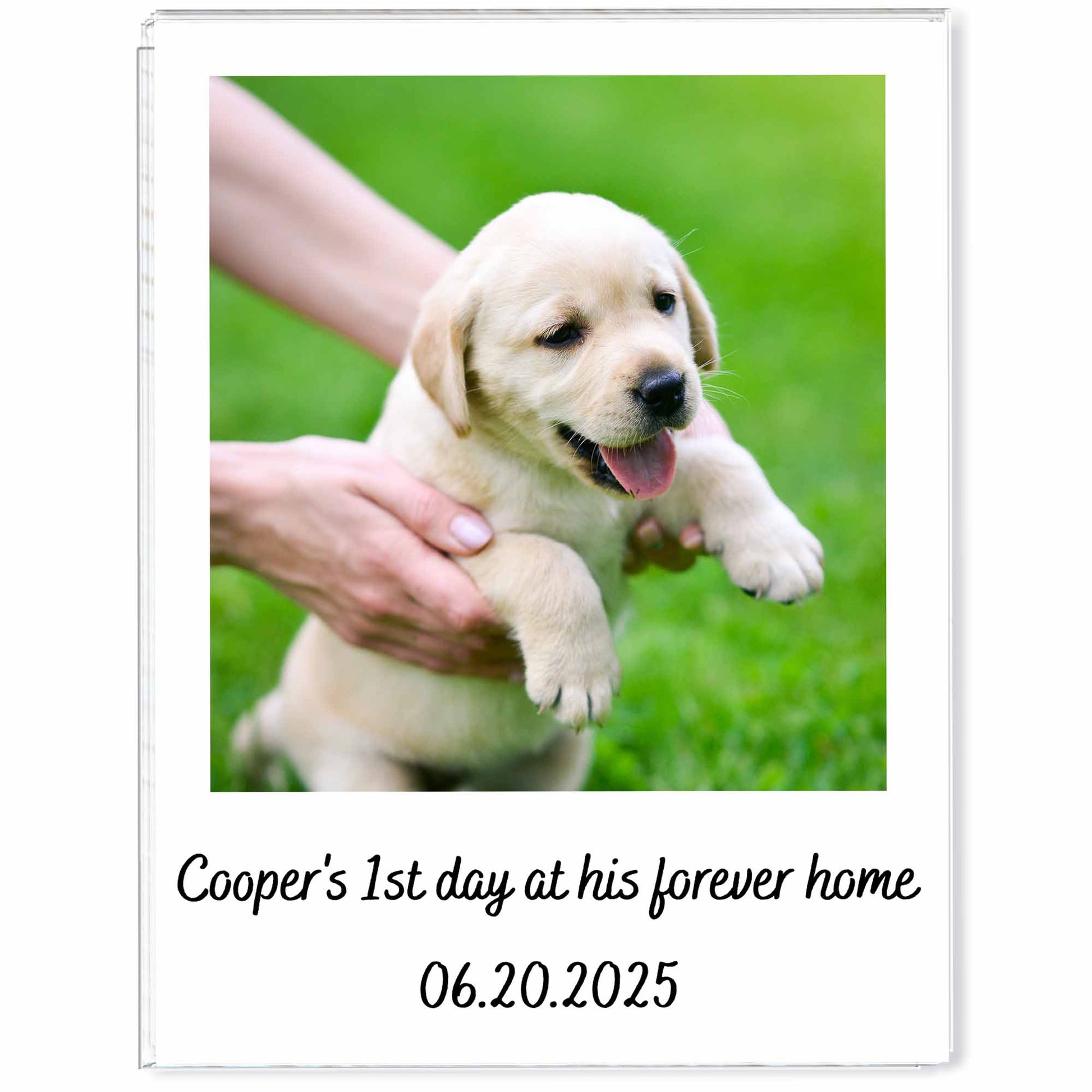 First Day At His Forever Home, Puppy Keepsake