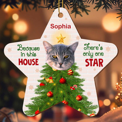 Because In This House, There's Only One Star, Cat And Christmas Tree