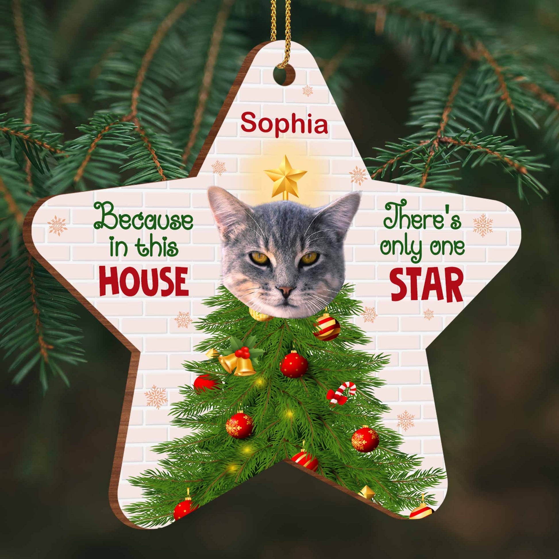 Because In This House, There's Only One Star, Cat And Christmas Tree