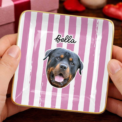 Capture The Joy Of Your Beloved Pet