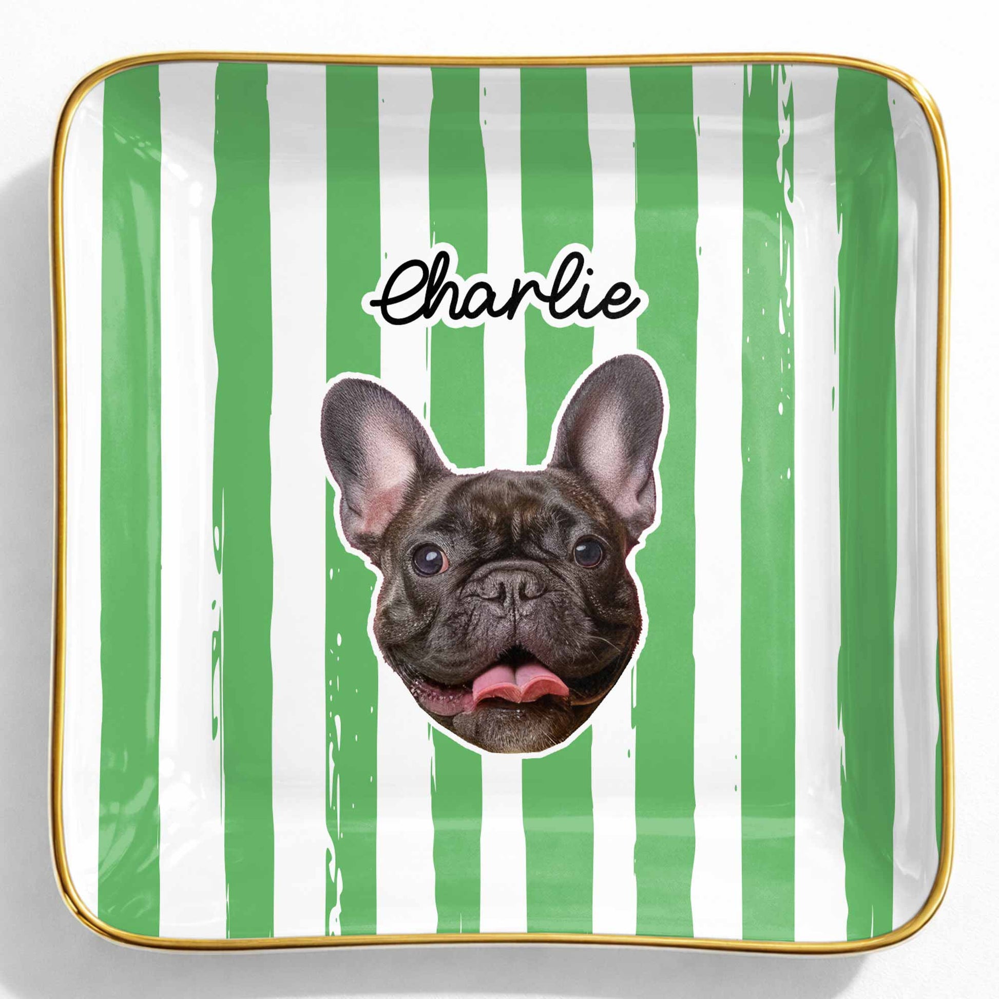 Capture The Joy Of Your Beloved Pet