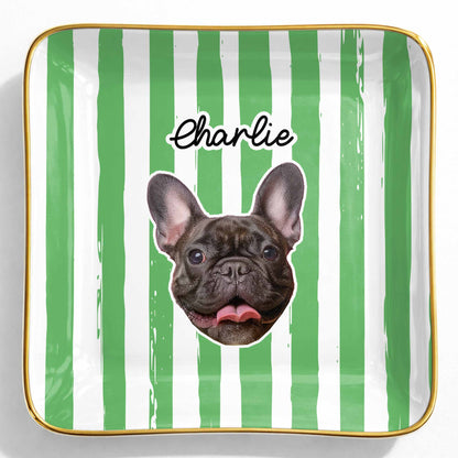 Capture The Joy Of Your Beloved Pet