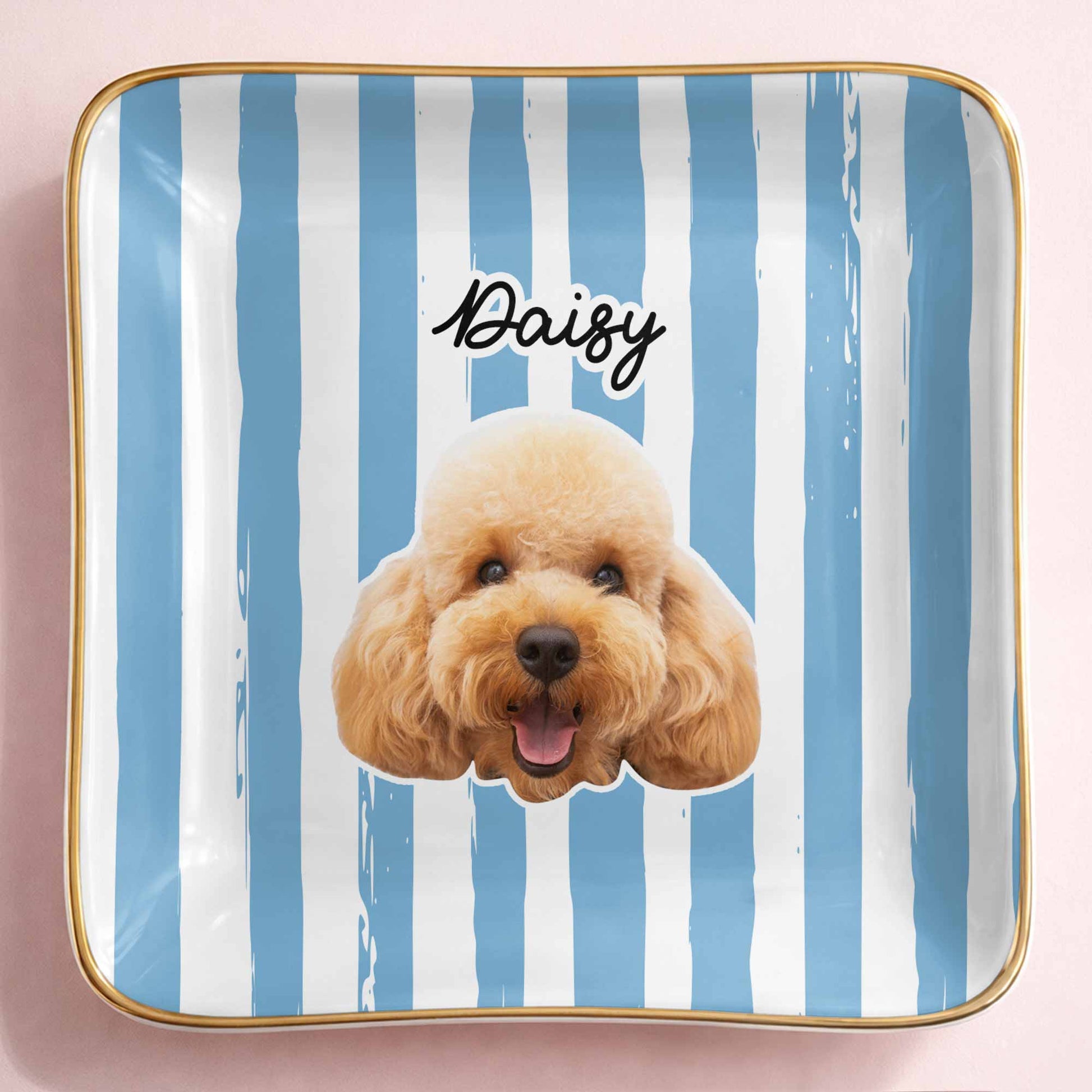 Capture The Joy Of Your Beloved Pet