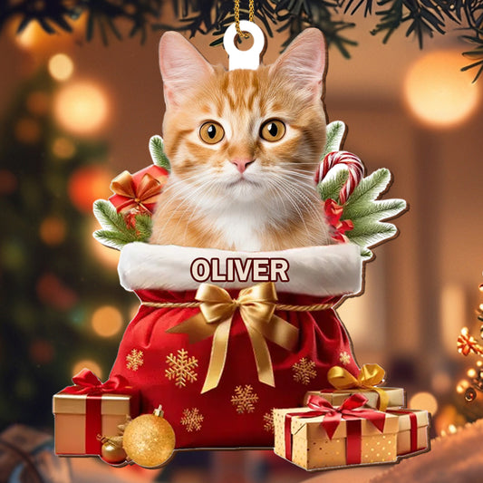 To My Beloved Pet, Merry Christmas