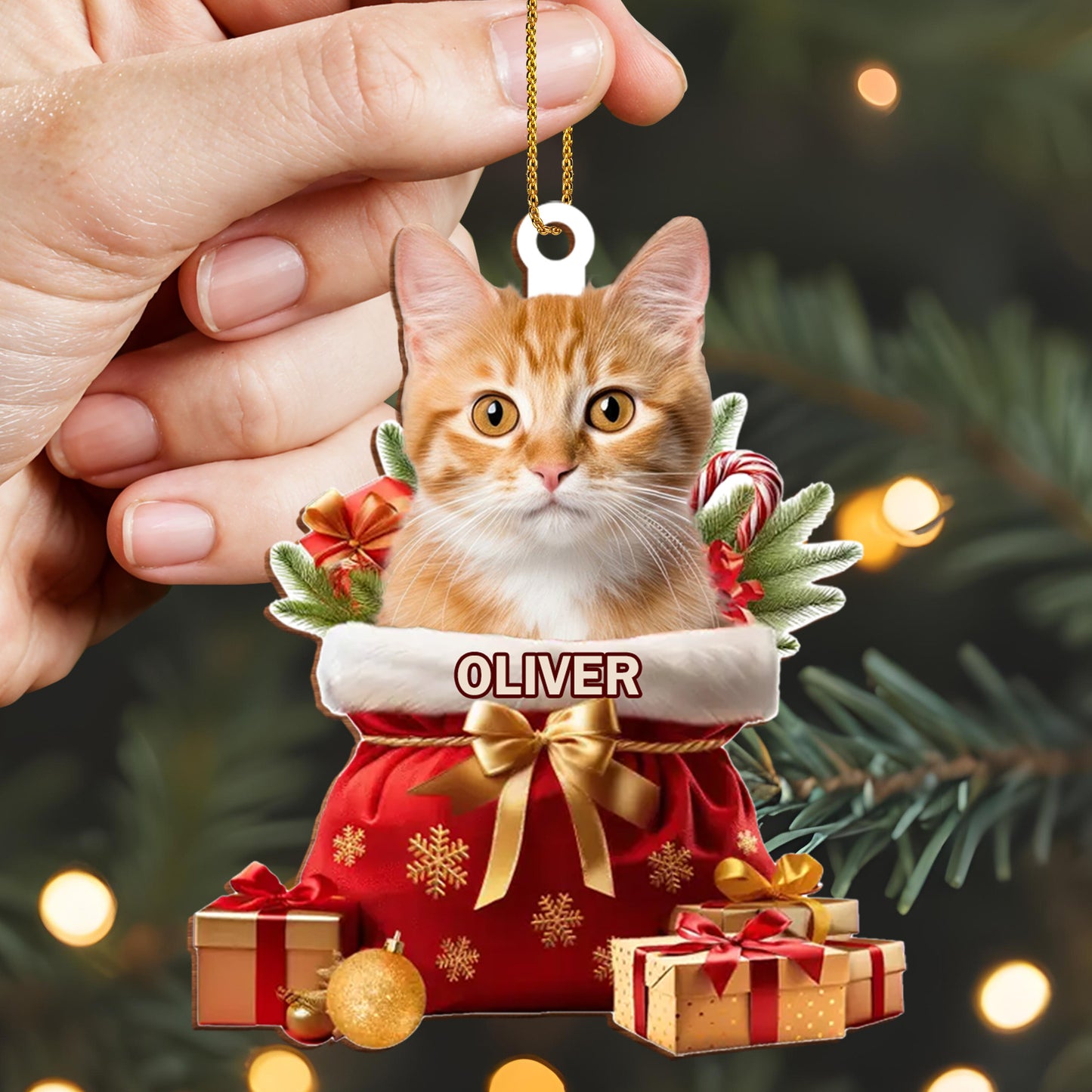 To My Beloved Pet, Merry Christmas