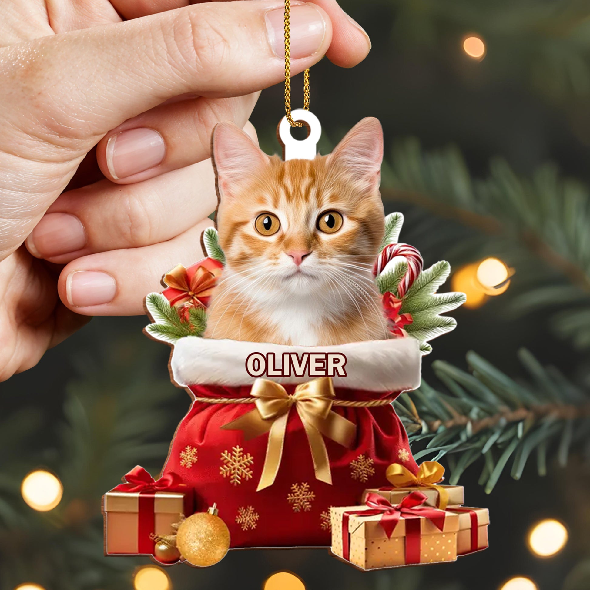 To My Beloved Pet, Merry Christmas