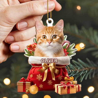 To My Beloved Pet, Merry Christmas