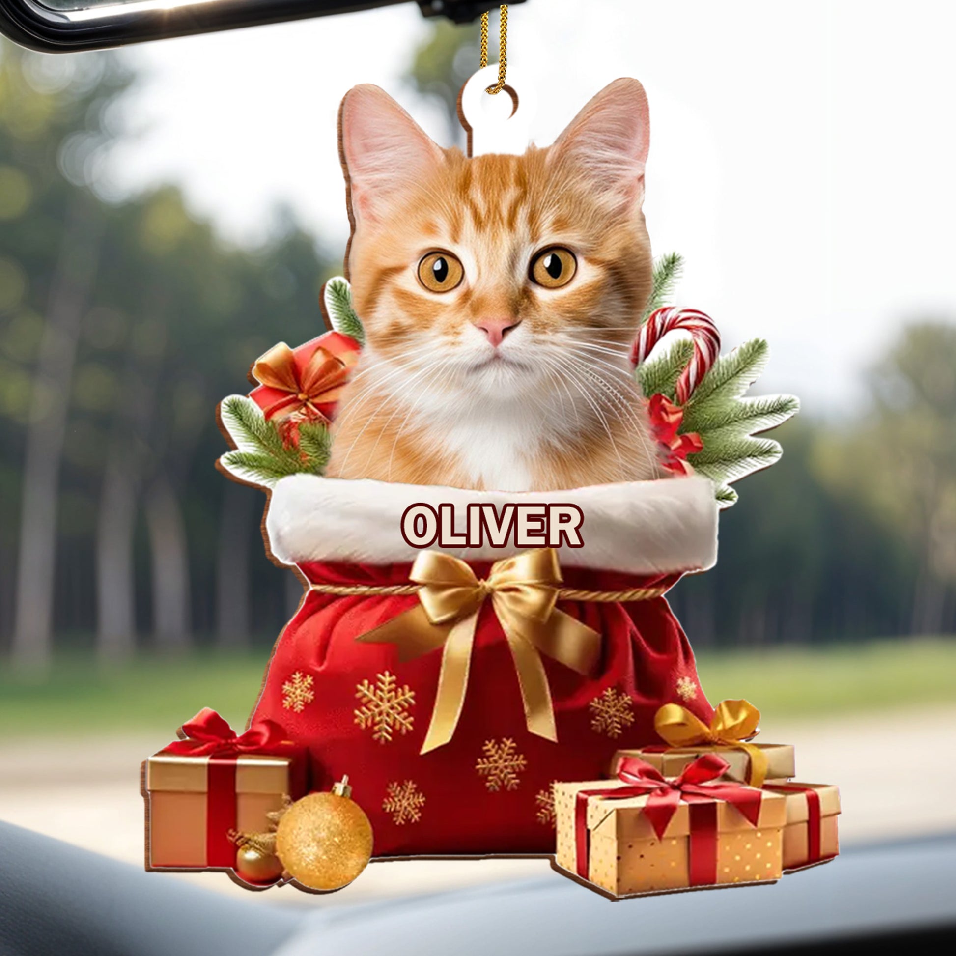 To My Beloved Pet, Merry Christmas