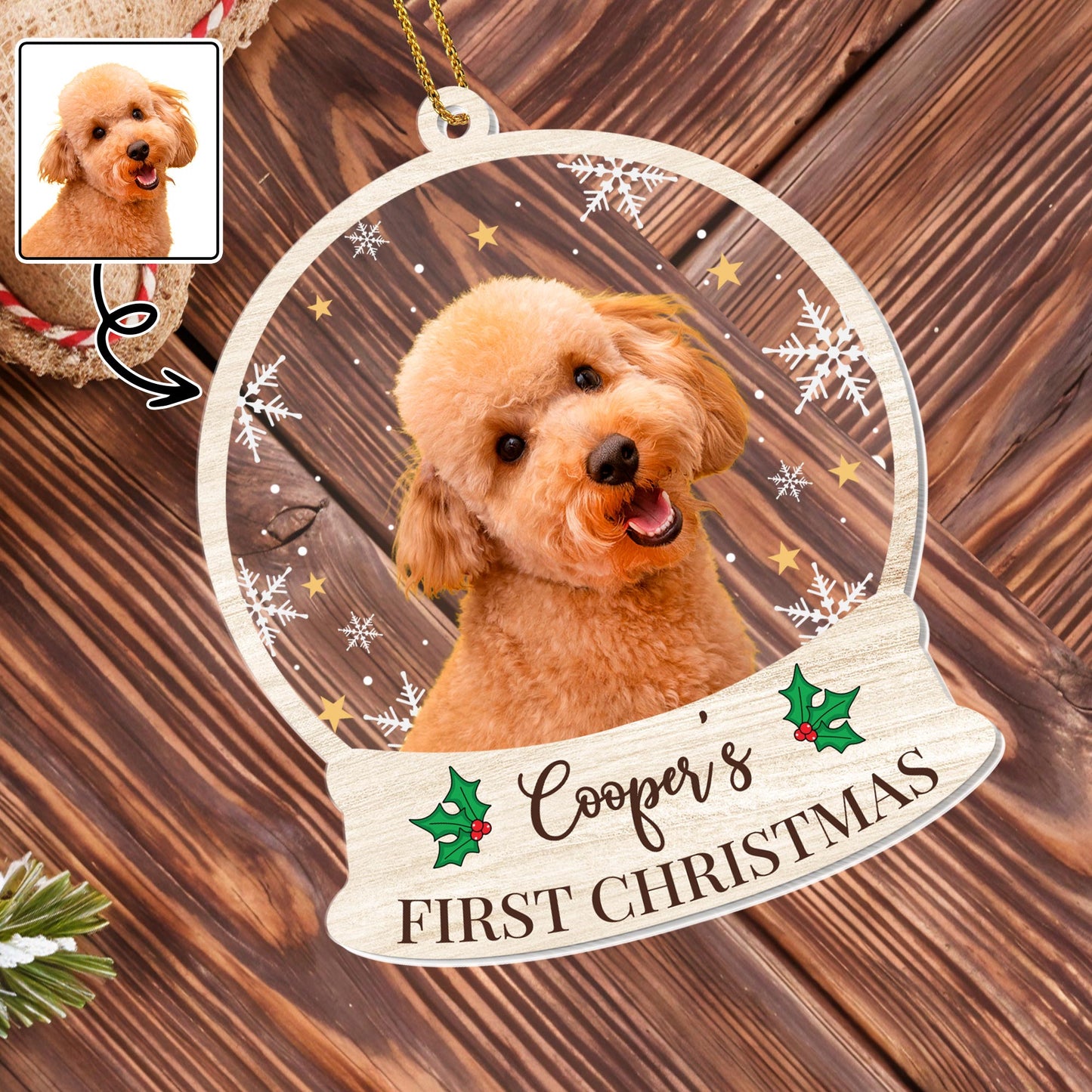 First Christmas Celebration With Your Furry Friend
