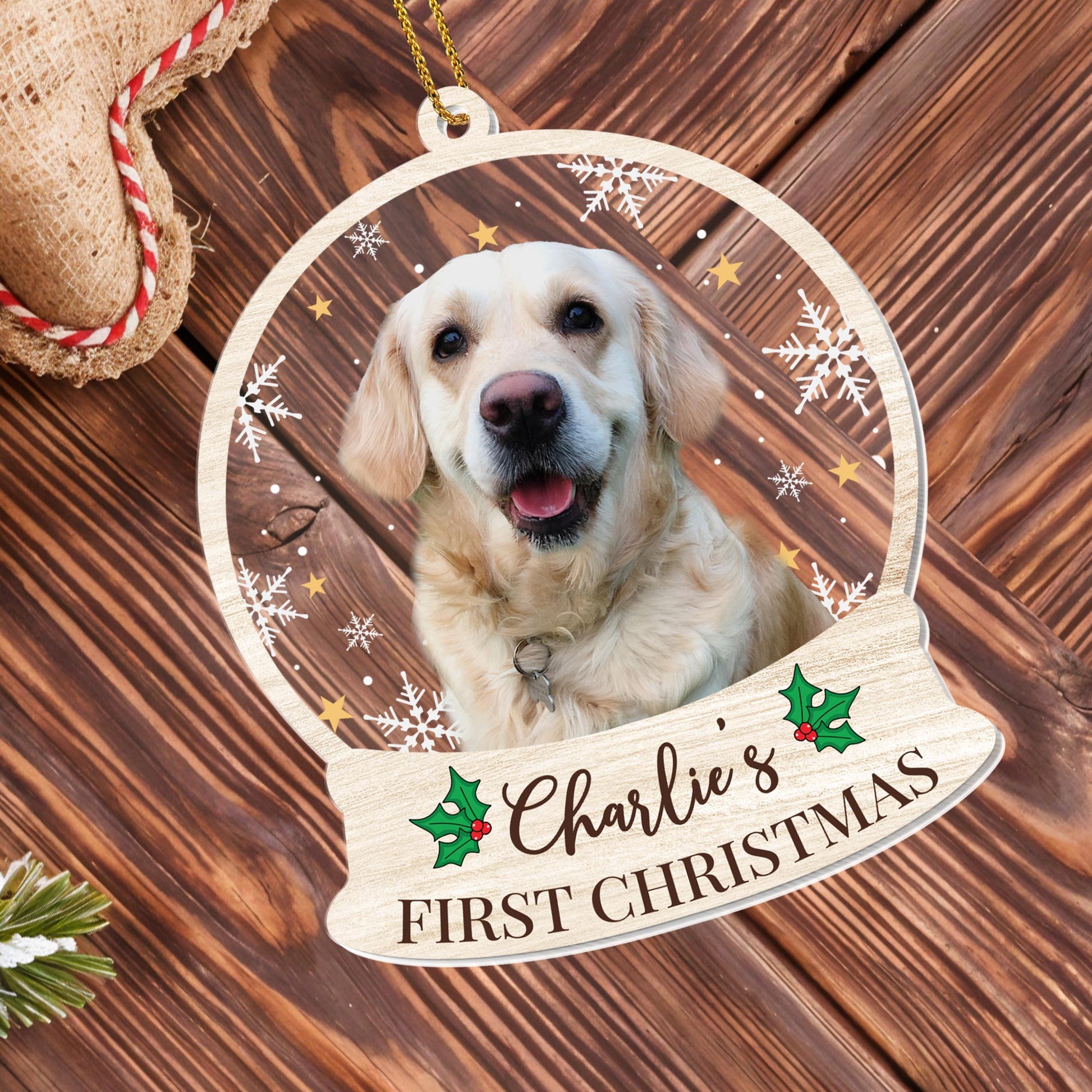 First Christmas Celebration With Your Furry Friend