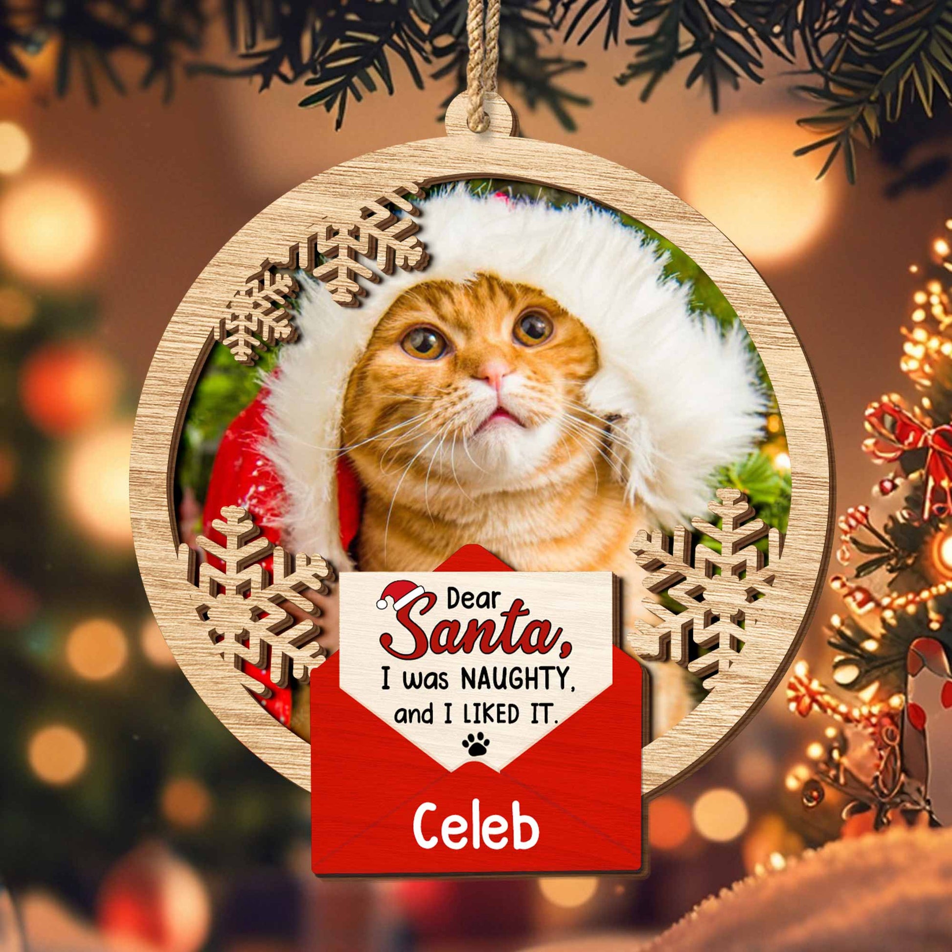 Dear Santa I Was Naughty And I Liked It, Cat With Santa Hat