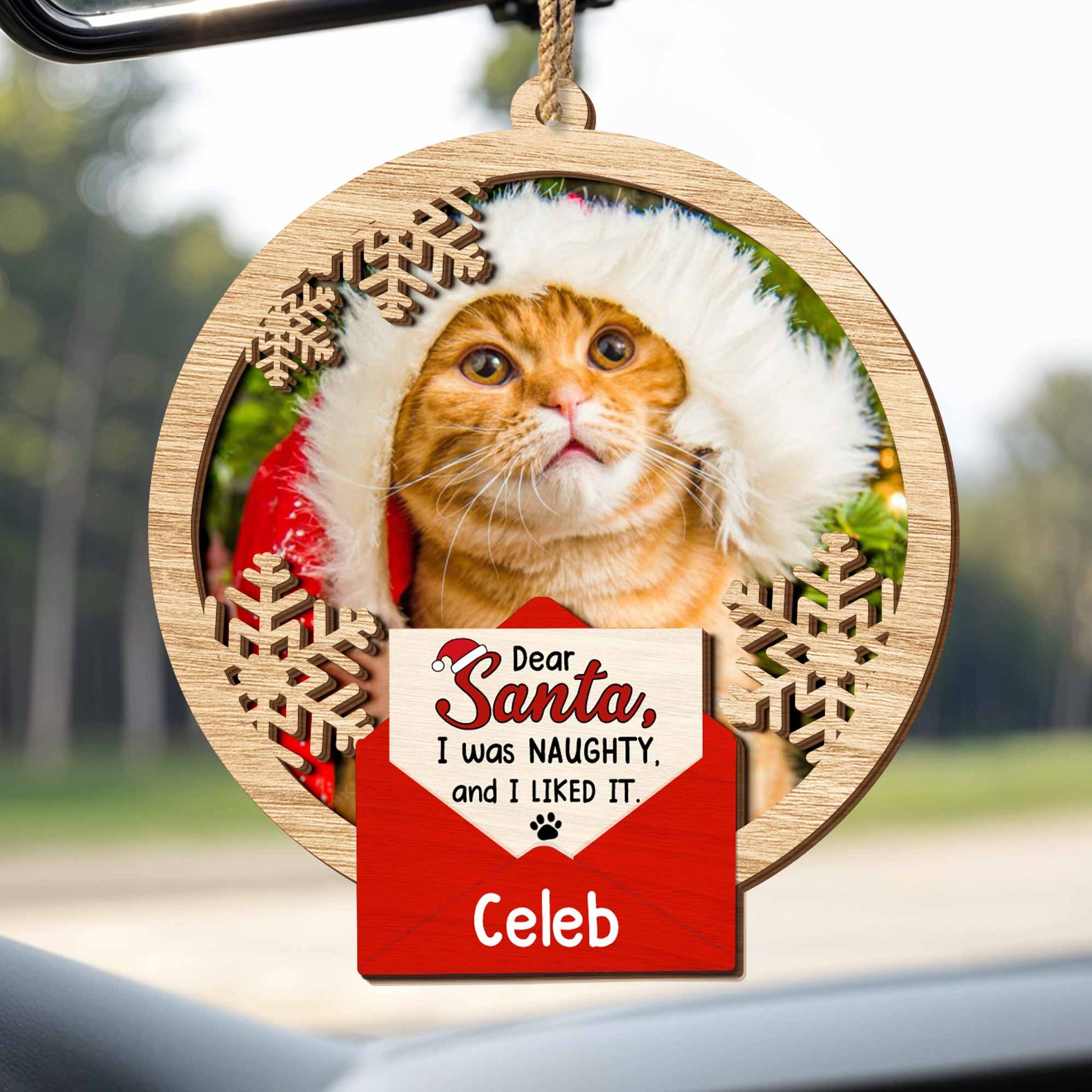 Dear Santa I Was Naughty And I Liked It, Cat With Santa Hat