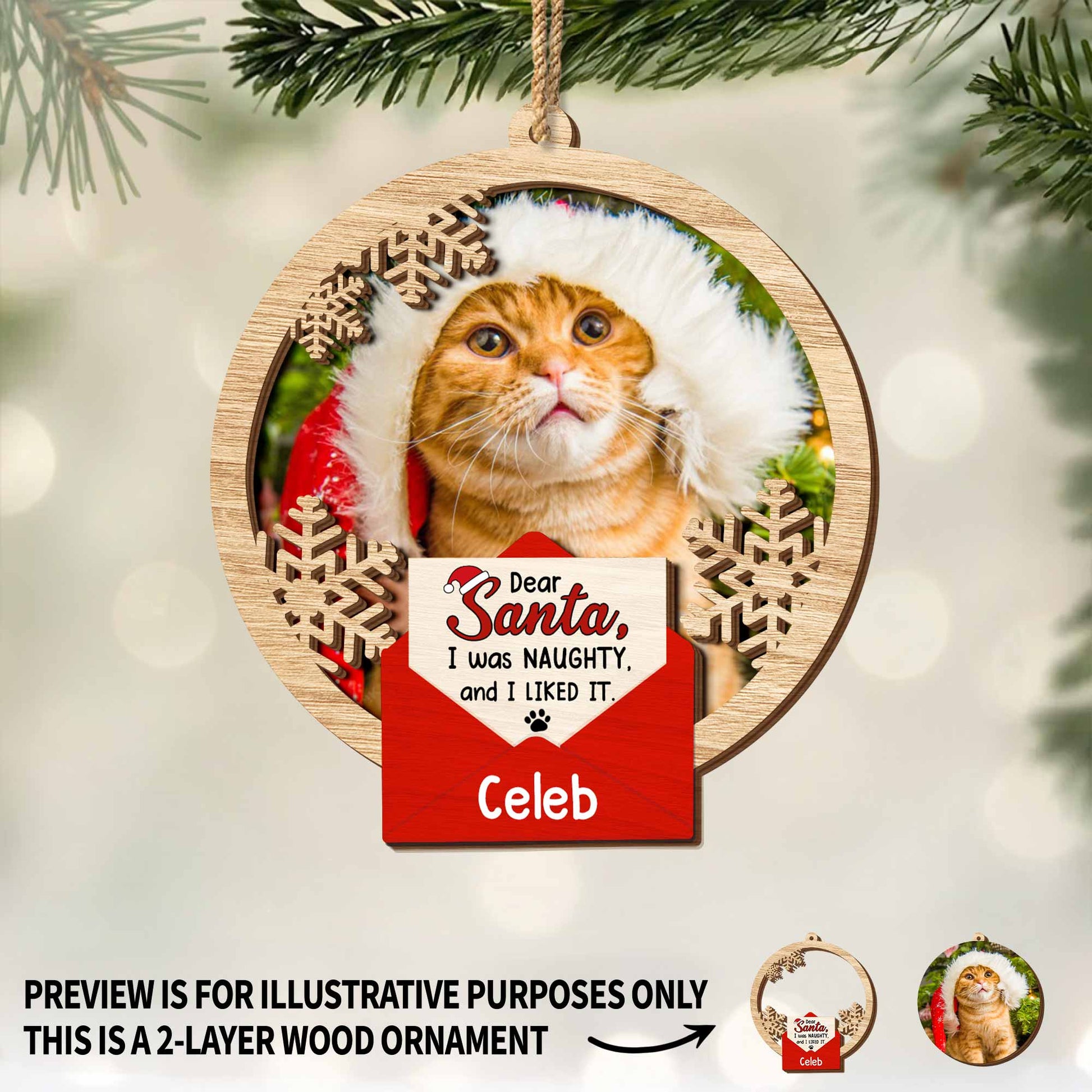 Dear Santa I Was Naughty And I Liked It, Cat With Santa Hat
