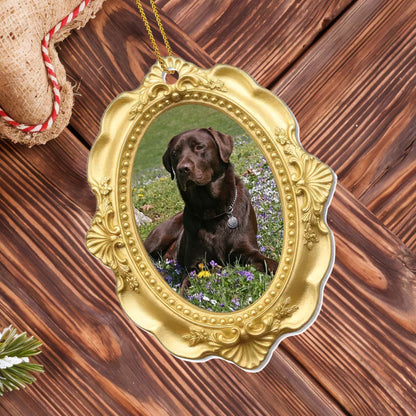 Cherished Moments With My Beloved Dog