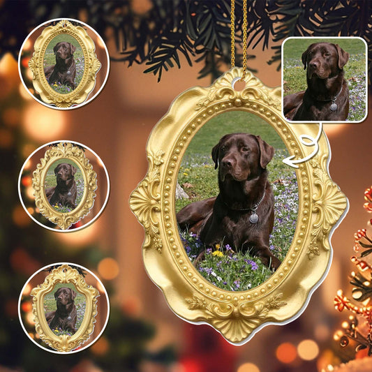 Cherished Moments With My Beloved Dog