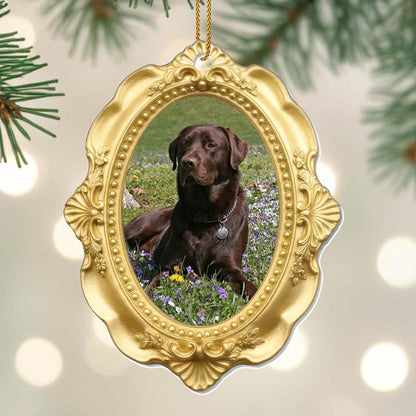 Cherished Moments With My Beloved Dog