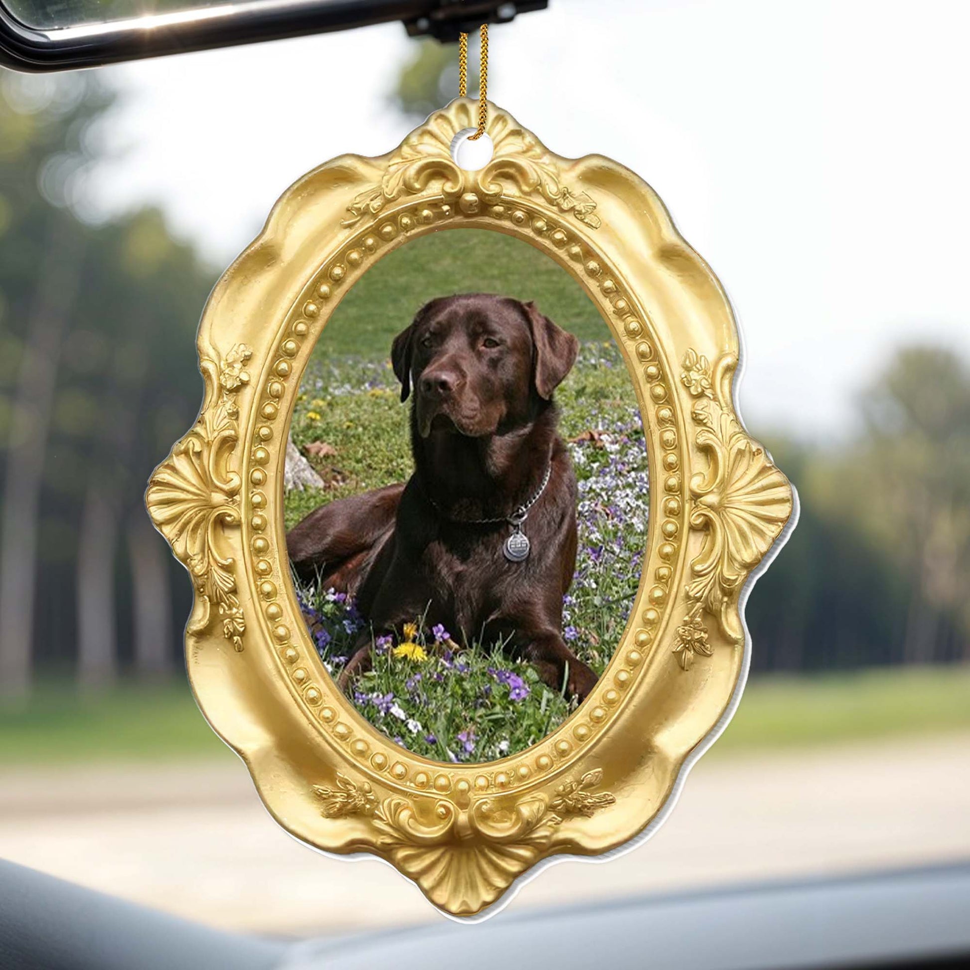 Cherished Moments With My Beloved Dog