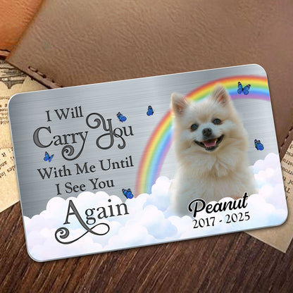 I Will Carry You With Me Until I See You Again, Dog And Rainbow