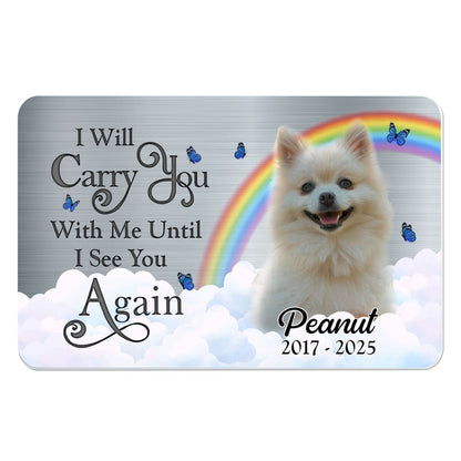 I Will Carry You With Me Until I See You Again, Dog And Rainbow
