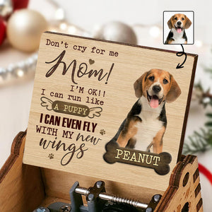 Don't Cry For Me Mom, Flying Puppy Inspirational Music Box