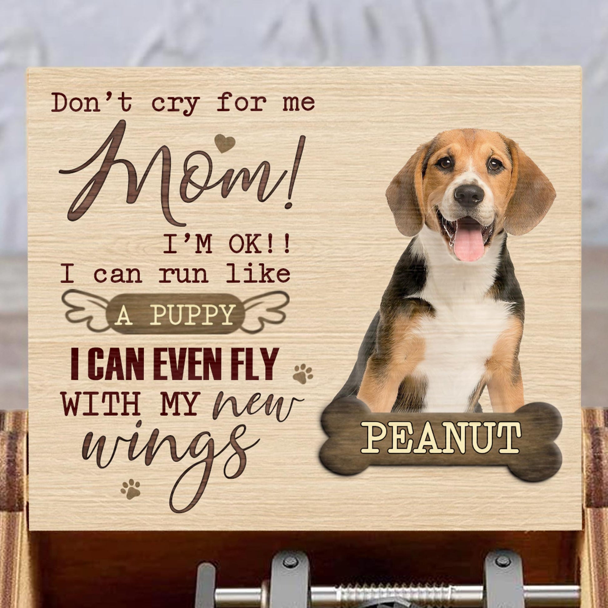 Don't Cry For Me Mom, Flying Puppy Inspirational Music Box