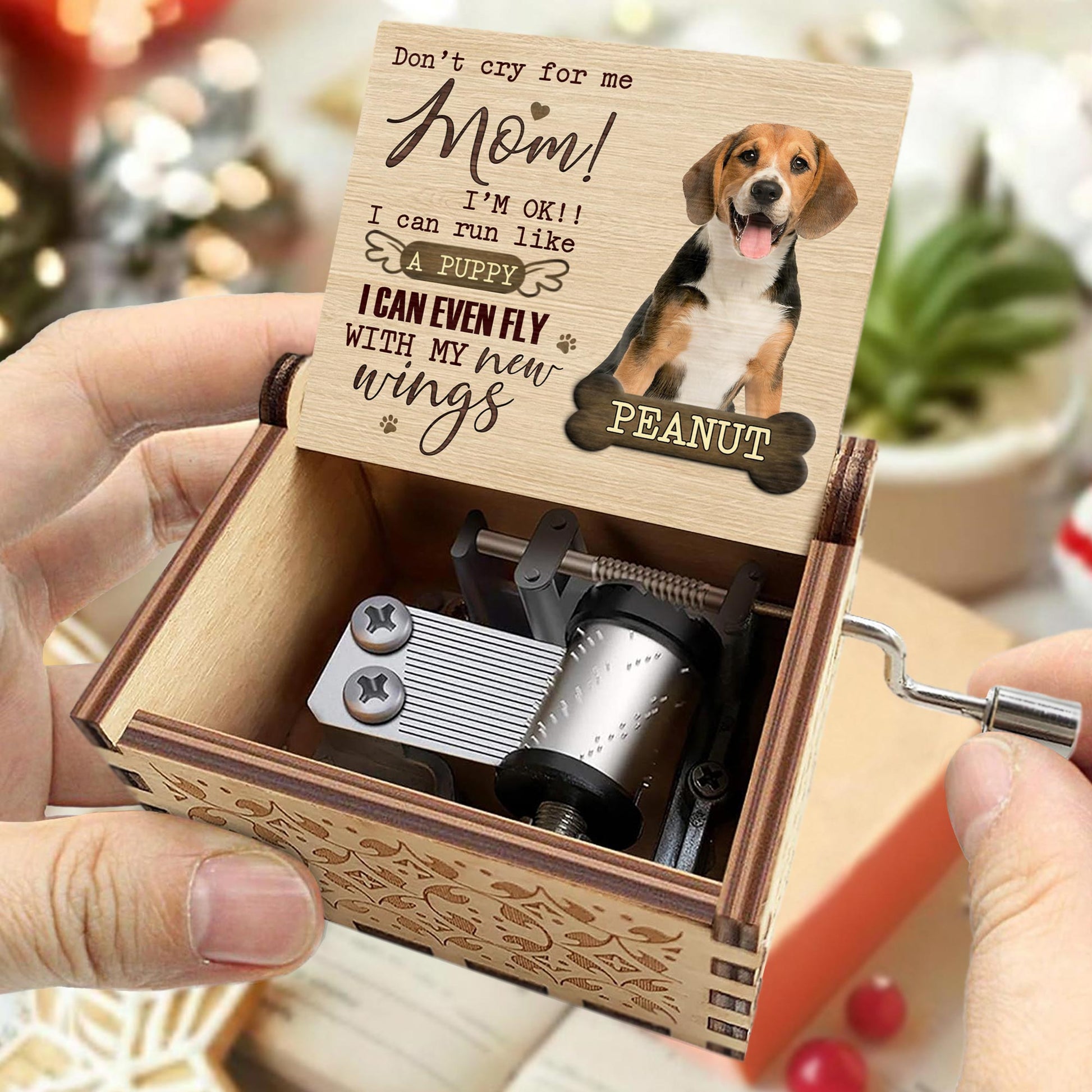 Don't Cry For Me Mom, Flying Puppy Inspirational Music Box