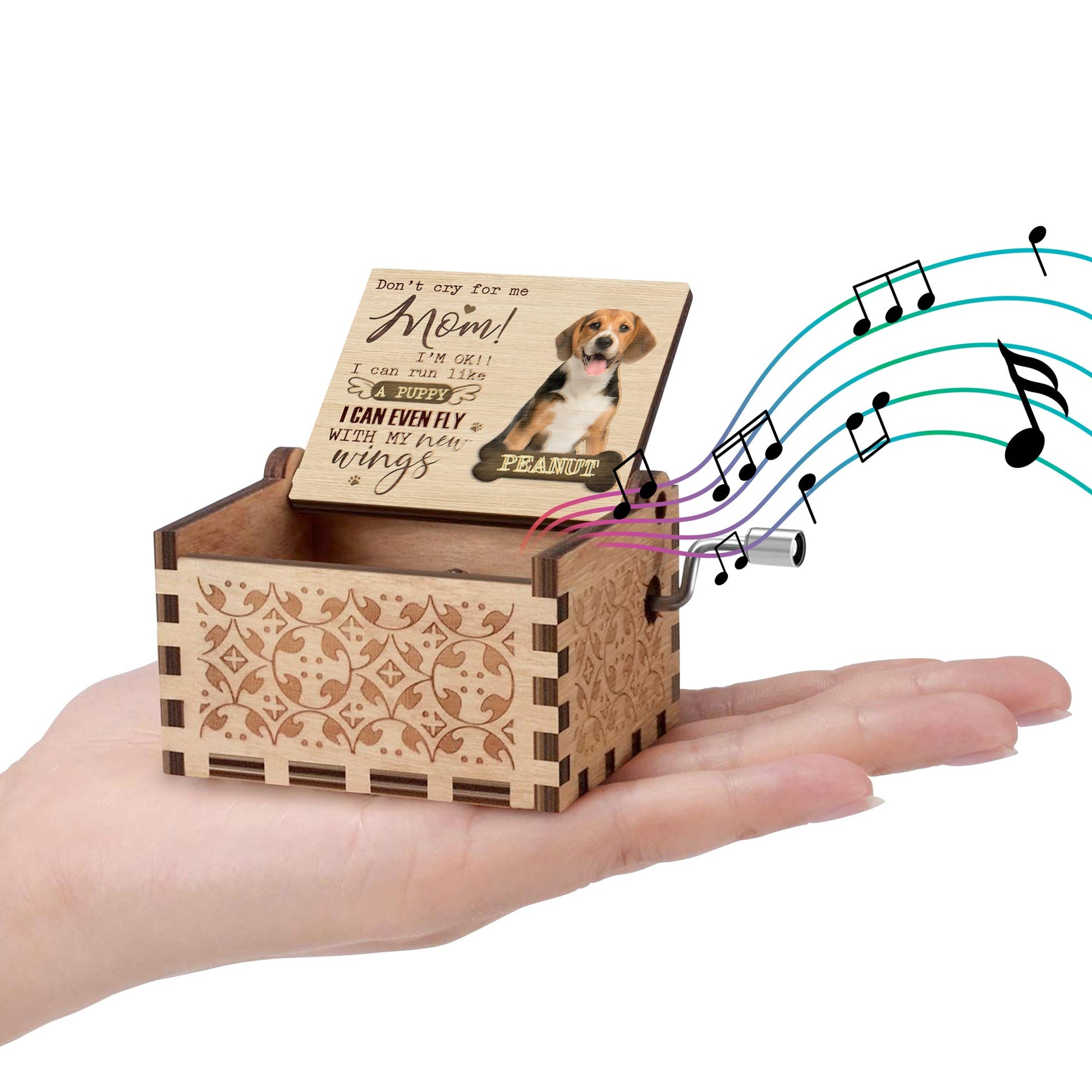 Don't Cry For Me Mom, Flying Puppy Inspirational Music Box