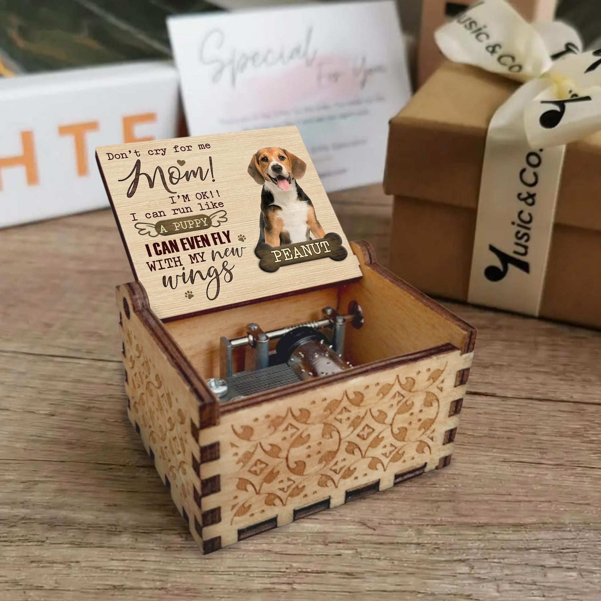 Don't Cry For Me Mom, Flying Puppy Inspirational Music Box