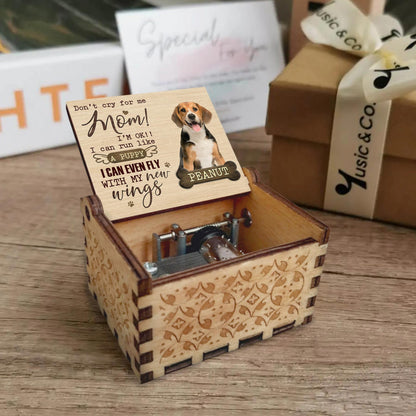 Don't Cry For Me Mom, Flying Puppy Inspirational Music Box