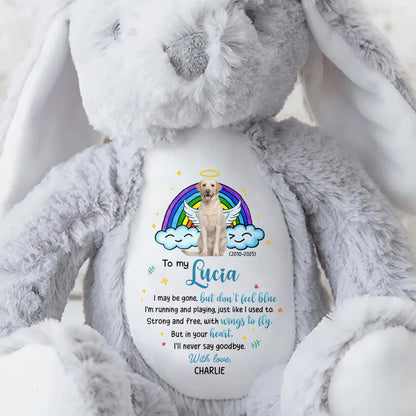 To My Lucia, I may be gone, but don't feel blue, Rainbow and Angel Dog