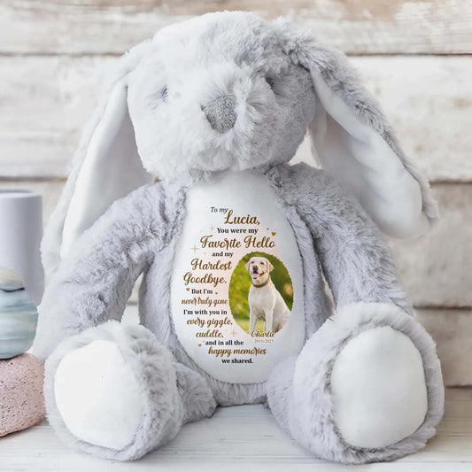 To My Lucia, You Were My Favorite Hello, Stuffed Bunny And Dog