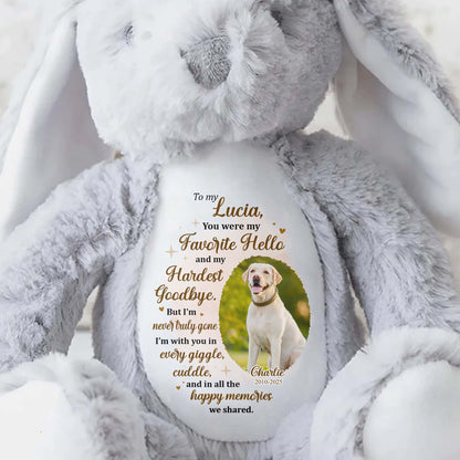 To My Lucia, You Were My Favorite Hello, Stuffed Bunny And Dog