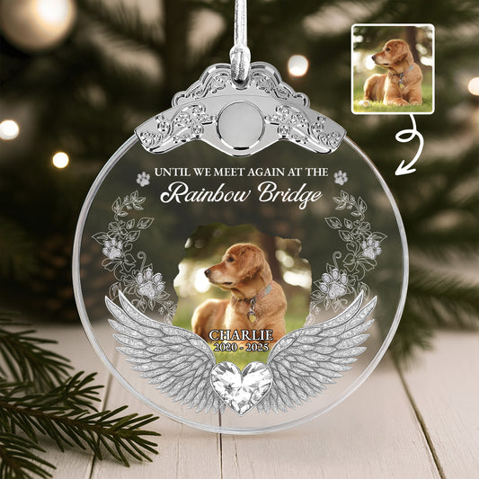 Until We Meet Again At The Rainbow Bridge With Dog And Wings
